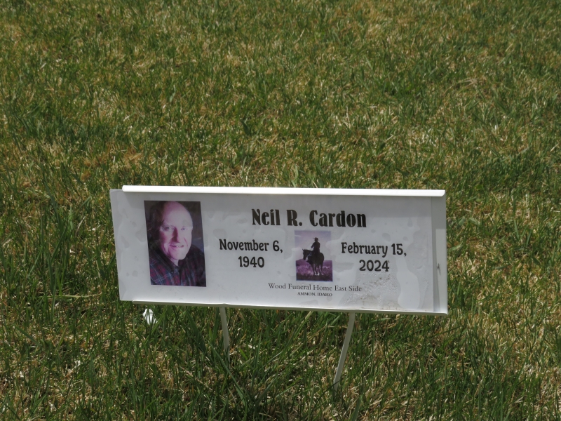 Temporary grave marker for Neil R. Cardon
