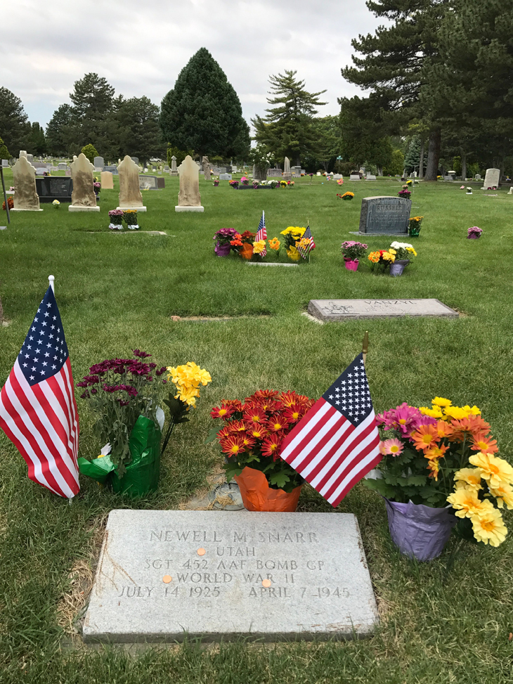 Grave Marker of Newell McCarroll Snarr