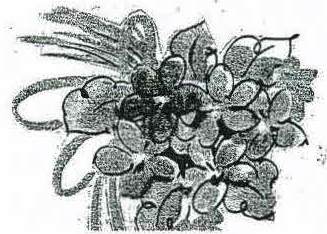 Bottom Floral Image