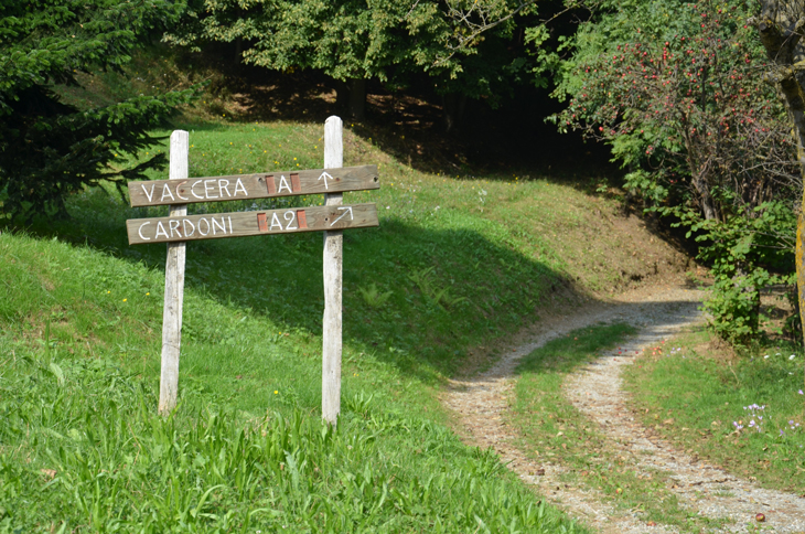 Cardoni Sign Post