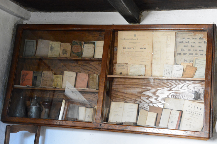 Display Case in the Museum