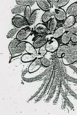 Right Floral image